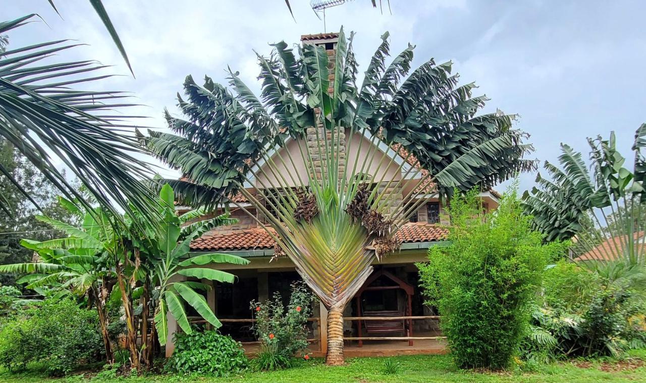 Edaala Comfort - B&B Nairobi Zewnętrze zdjęcie