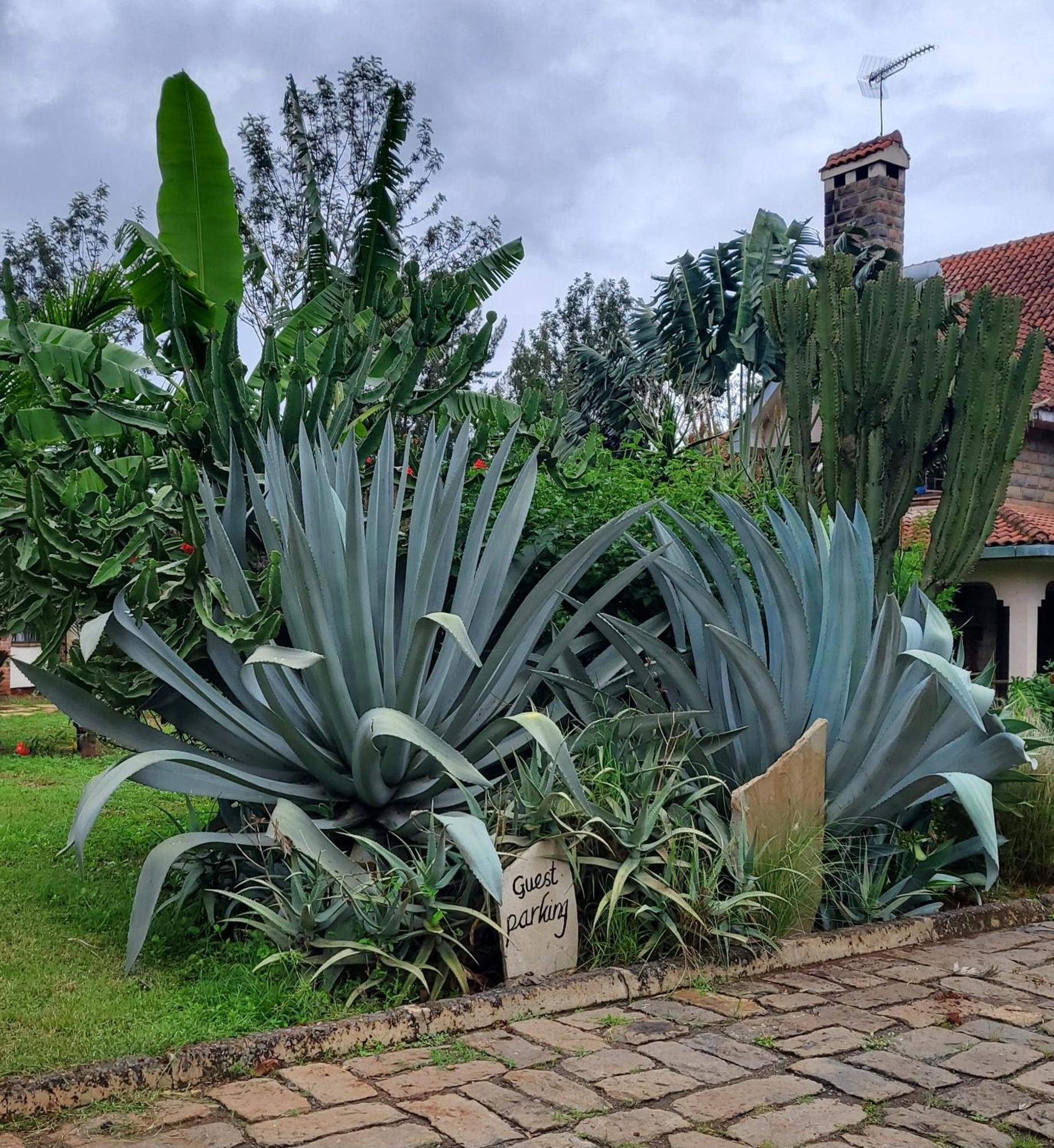 Edaala Comfort - B&B Nairobi Zewnętrze zdjęcie