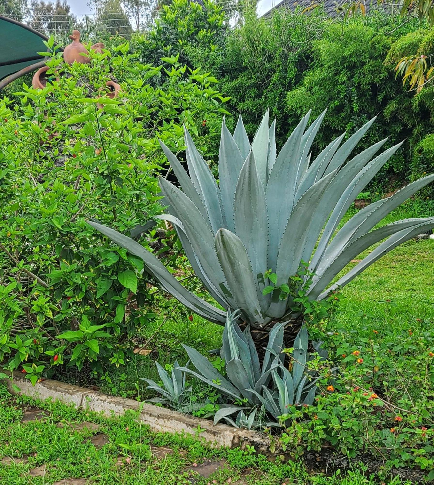 Edaala Comfort - B&B Nairobi Zewnętrze zdjęcie