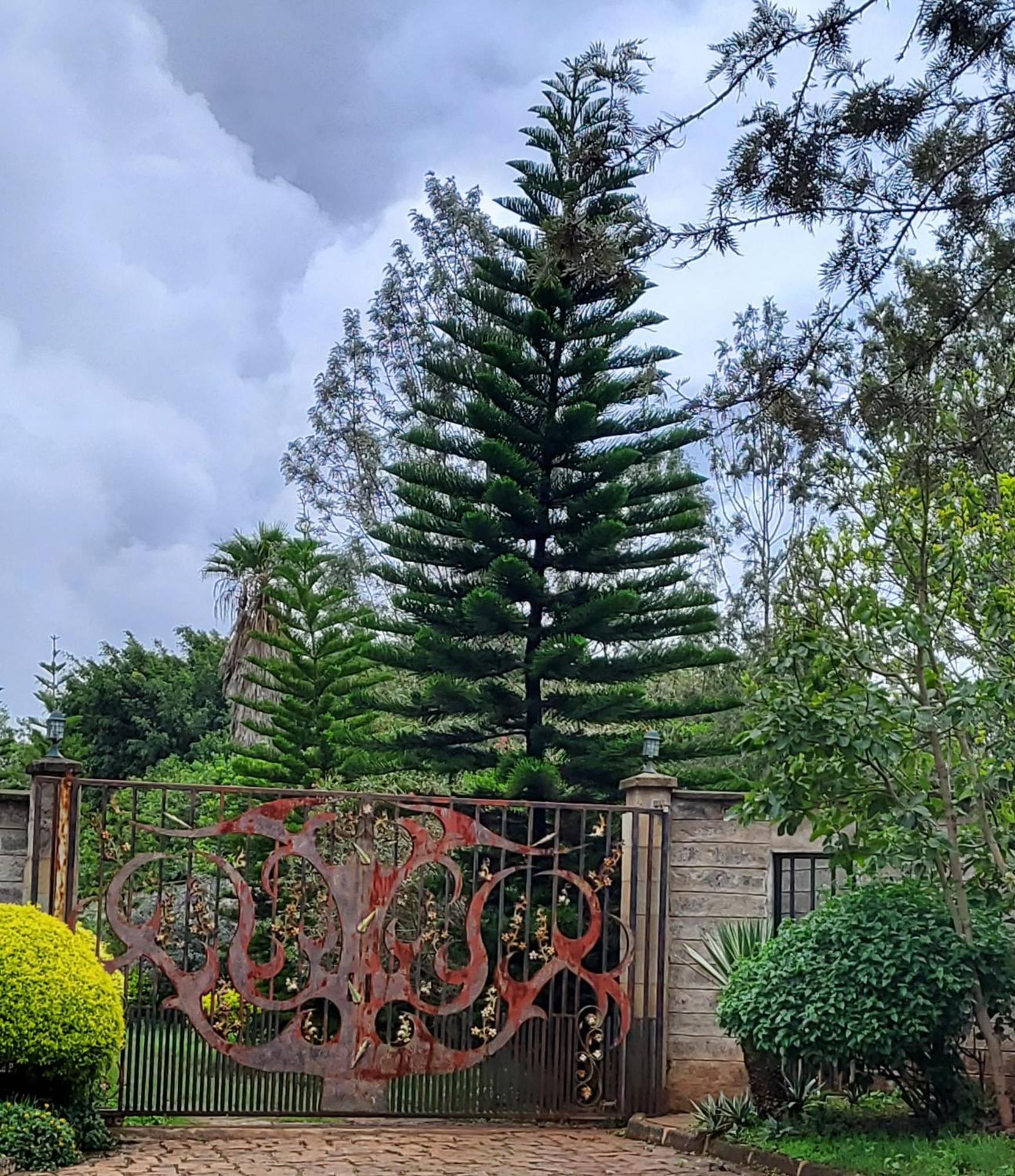 Edaala Comfort - B&B Nairobi Zewnętrze zdjęcie