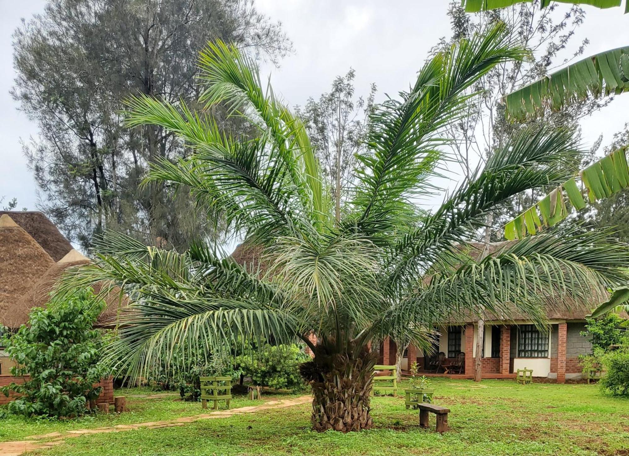 Edaala Comfort - B&B Nairobi Zewnętrze zdjęcie