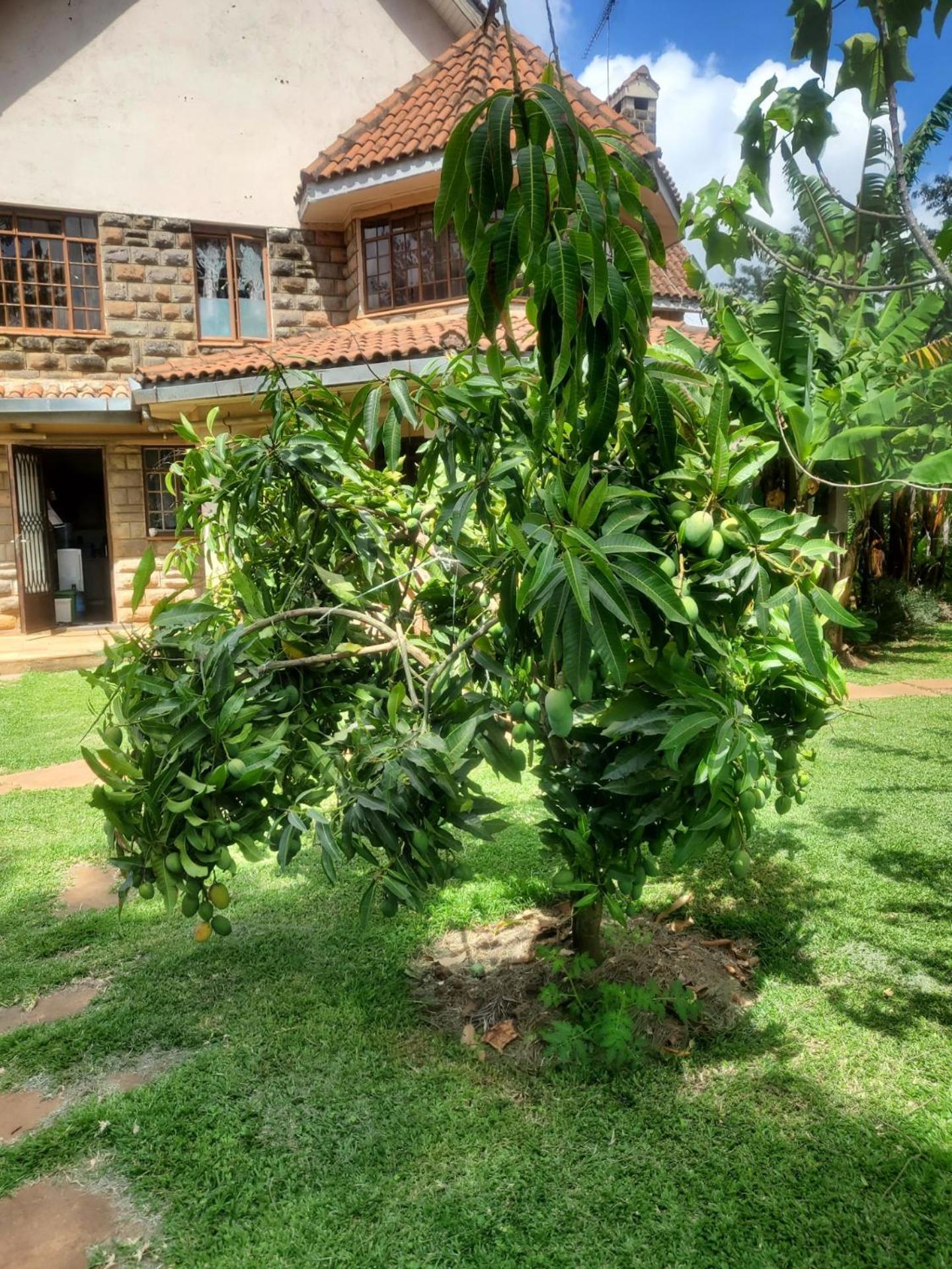 Edaala Comfort - B&B Nairobi Zewnętrze zdjęcie