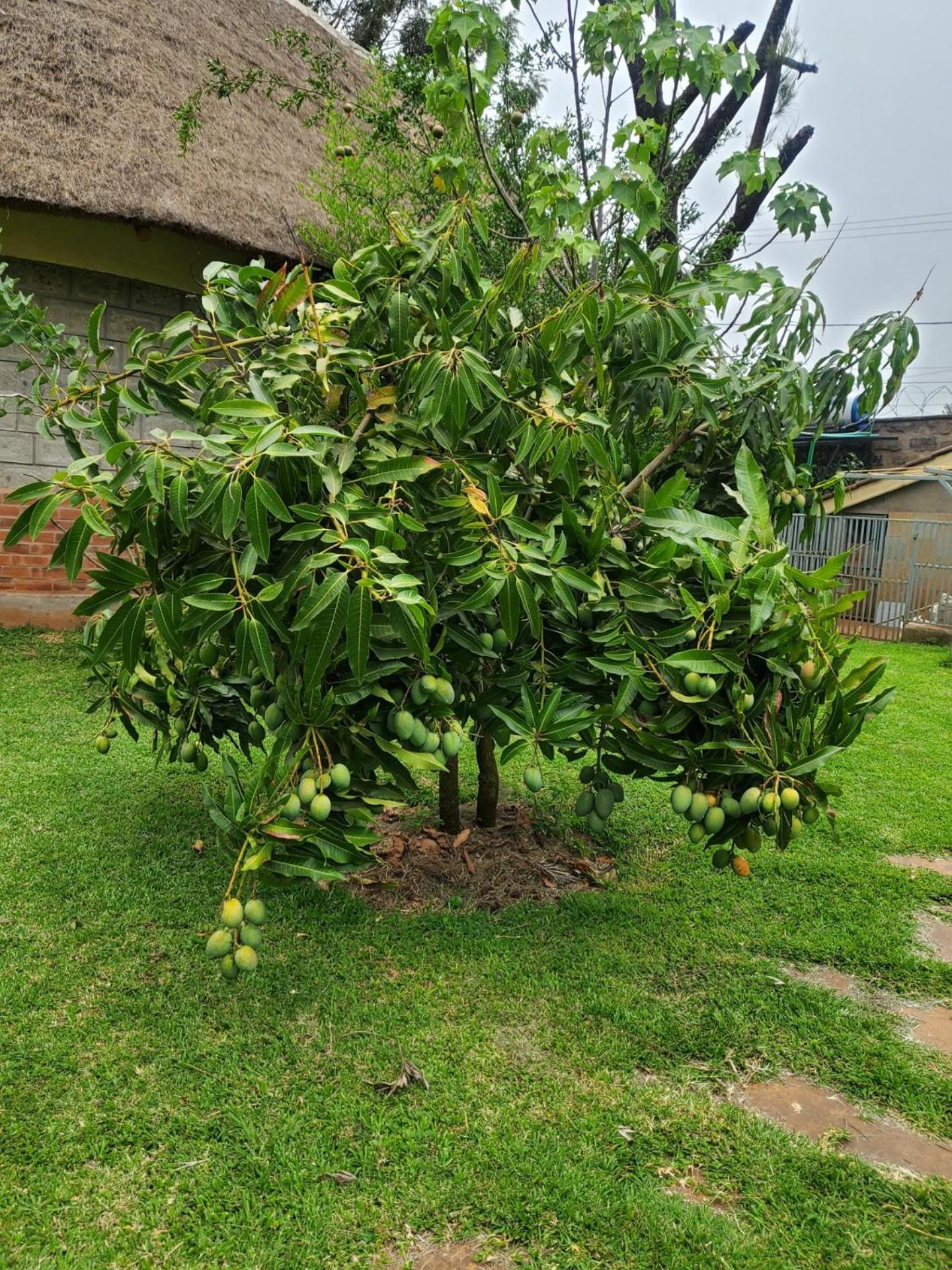 Edaala Comfort - B&B Nairobi Zewnętrze zdjęcie