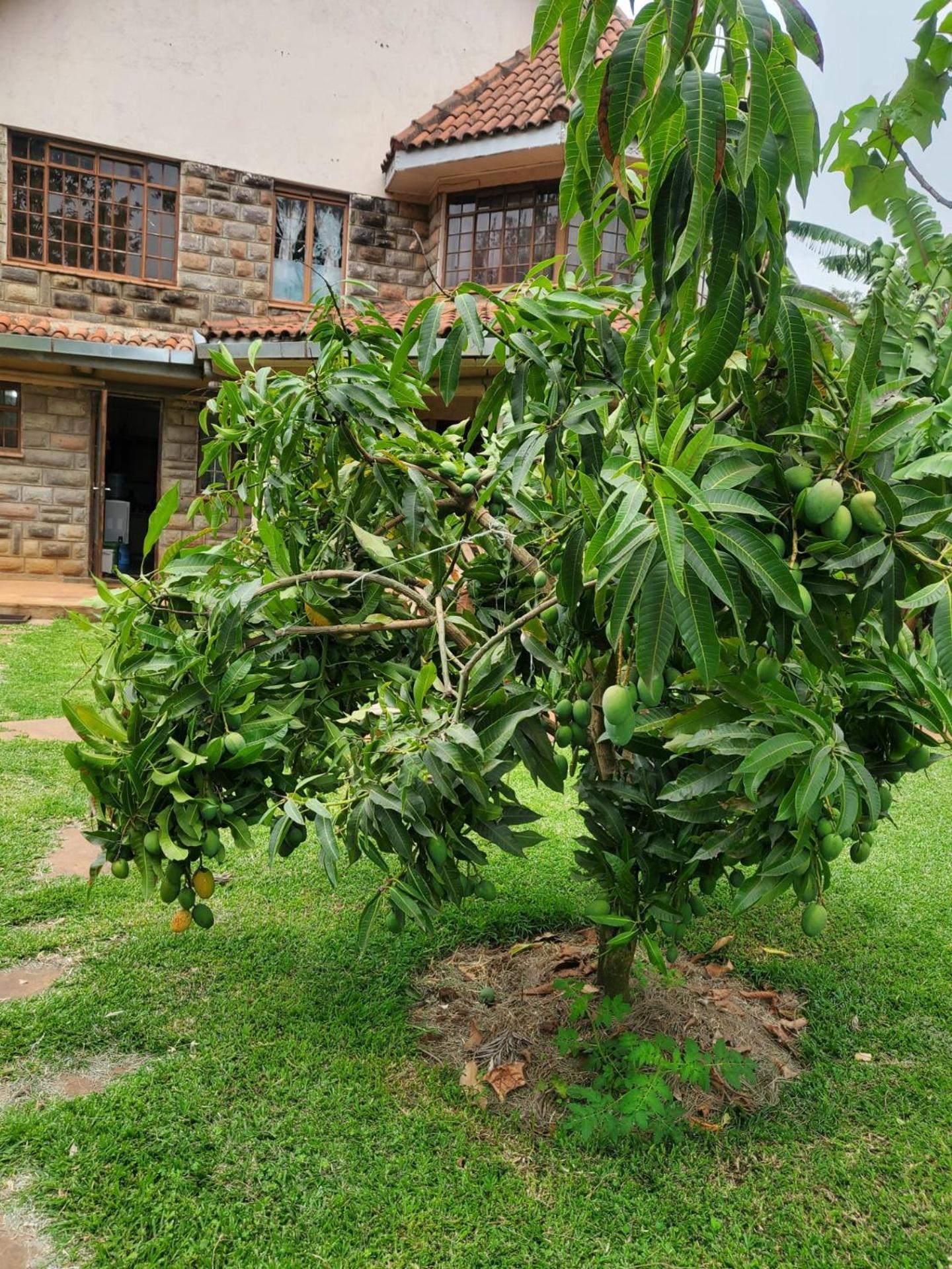 Edaala Comfort - B&B Nairobi Zewnętrze zdjęcie